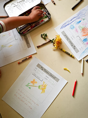 Peaceful Press Nature Book Flood: A Year Round Nature Study