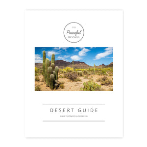 The cover art of the homeschool four week "Desert Guide"