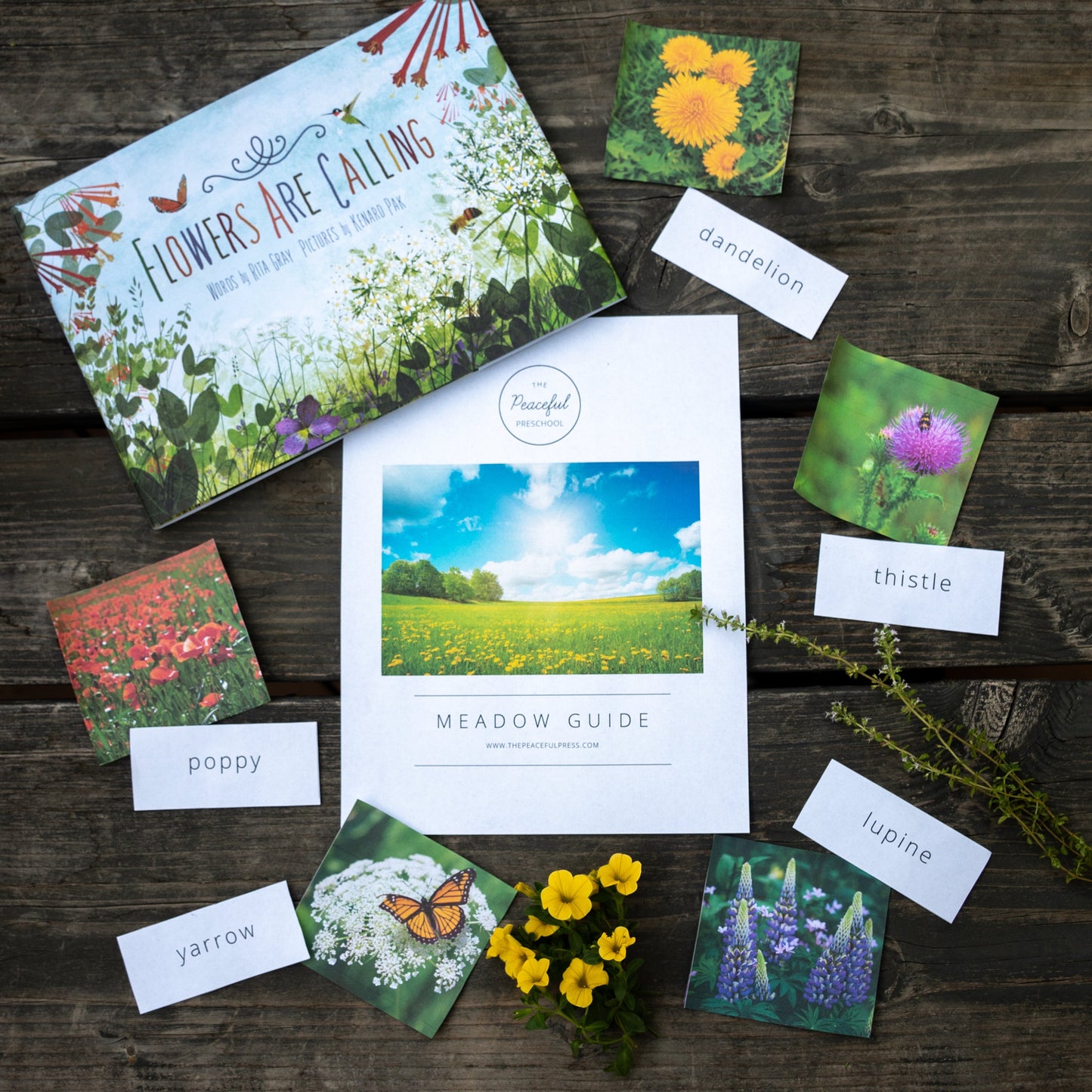 Bundle: Nourishing Nature Kindergarten