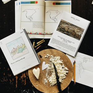 The Precious People World History Volume 2