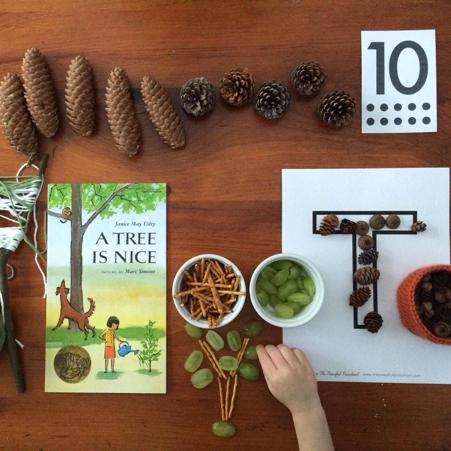 Sampe of homeschool learning activities themed around trees, with pinecones, counting, books and tree diagrams made out of snacks.