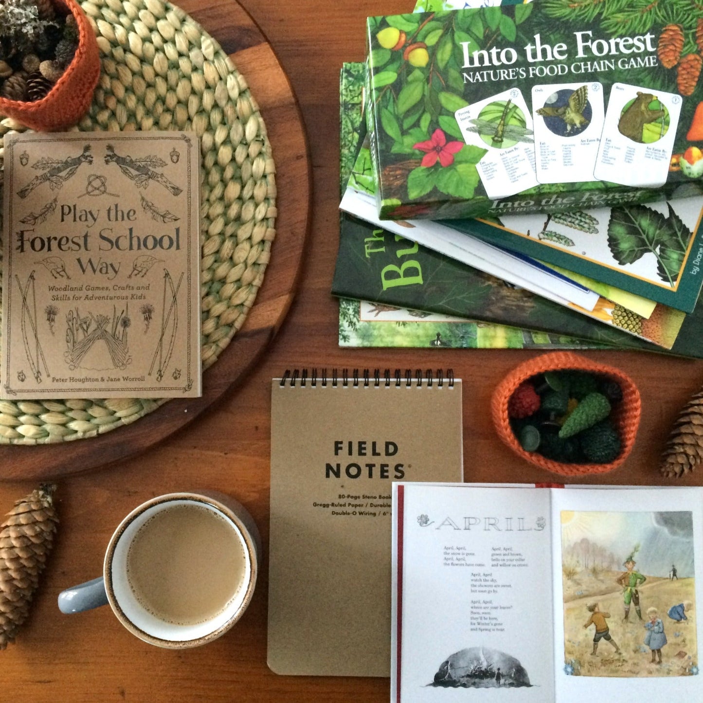 Planning out a homeschool day, different books, note books and a cup of coffee on a table, with pine cones and little plastic trees in a bag.