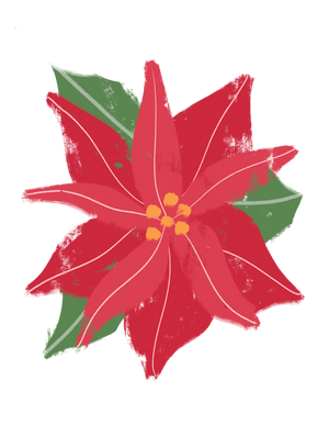 A painting of a poinseta for the 12 Days of Christmas Homeschool Guide.