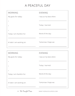 A sample sheet for writing out goals and assessing each day, from the homeschool 'Student Planner'