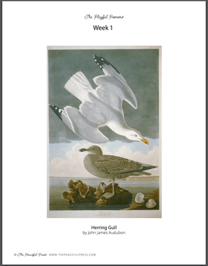 Playful Pioneers Homeschool Curriculum Art Sample Sheet, "Herring Gull" by John James Audubon.