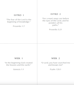 The Precious People World Geography: Scripture Cards
