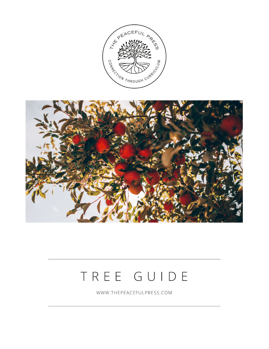 Quick Guide Tree Nourishing Nature Kindergarten: Tree Guide