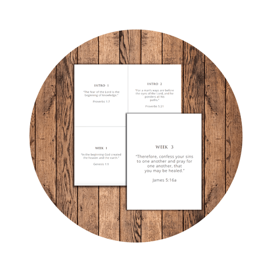 The Precious People World Geography: Scripture Cards