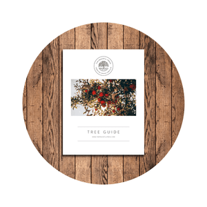 Shop Photos 12 | The Peaceful Press