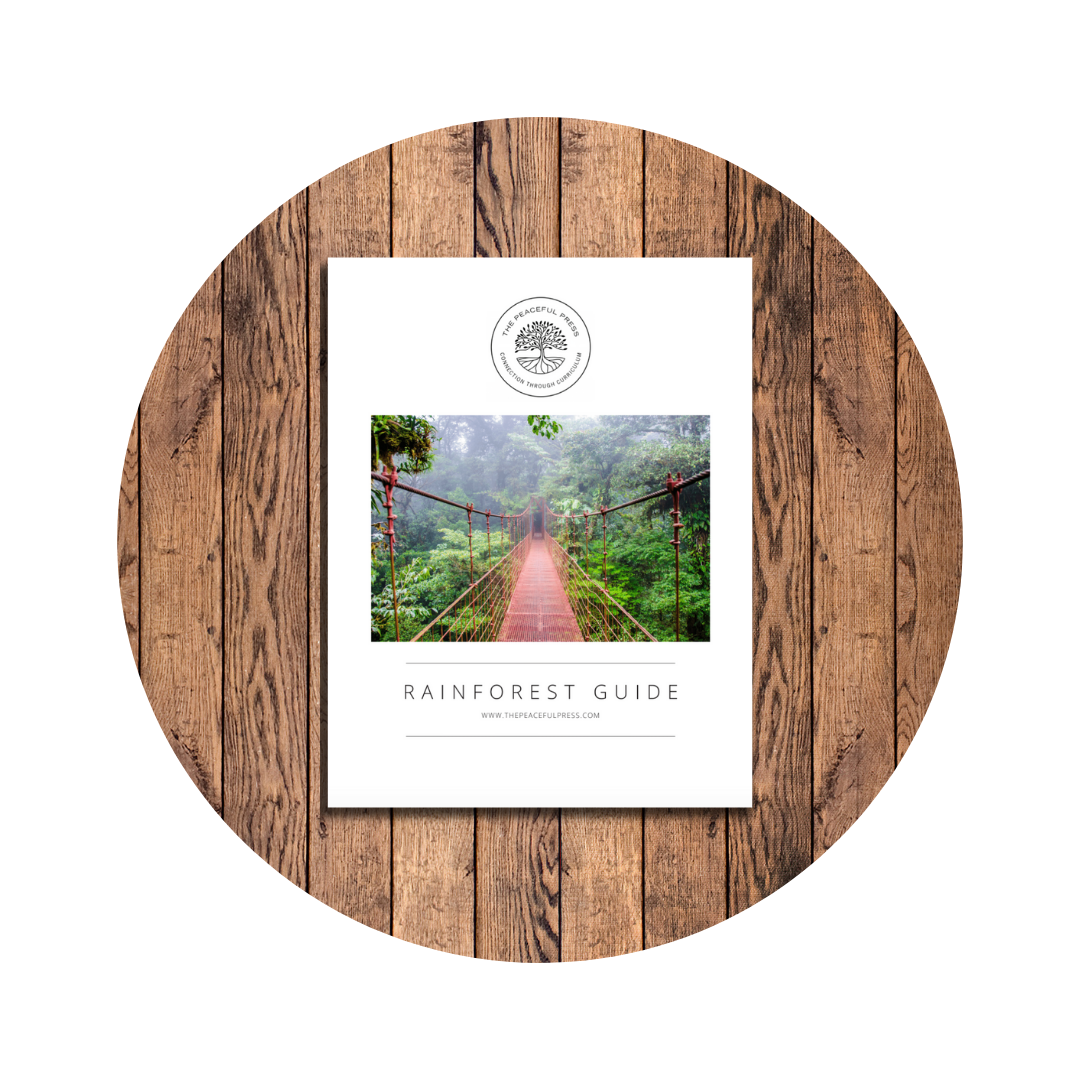 The Nourishing Nature Kindergarten: Rainforest Guide