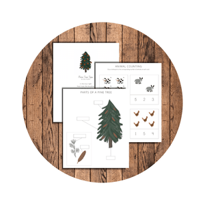 Shop Photos 14 | The Peaceful Press
