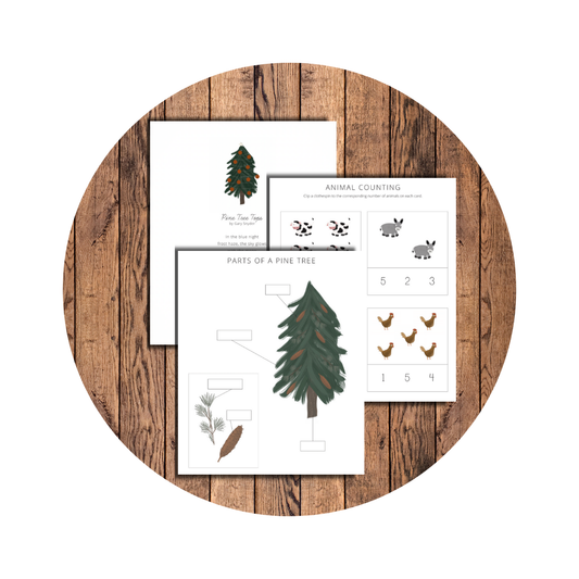 The Twelve Days of Christmas