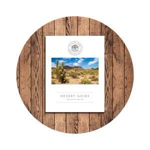 Shop Photos 16 | The Peaceful Press