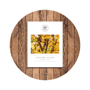 Shop Photos 17 | The Peaceful Press