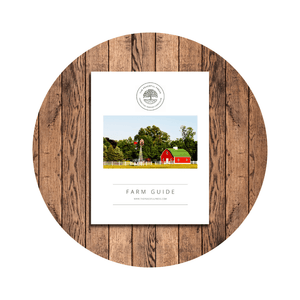 Shop Photos 18 | The Peaceful Press