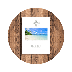 Shop Photos 22 | The Peaceful Press