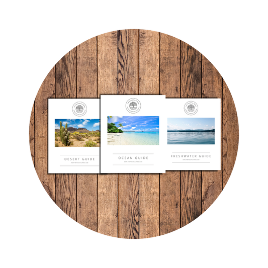 The Nourishing Nature Kindergarten: Summer Bundle