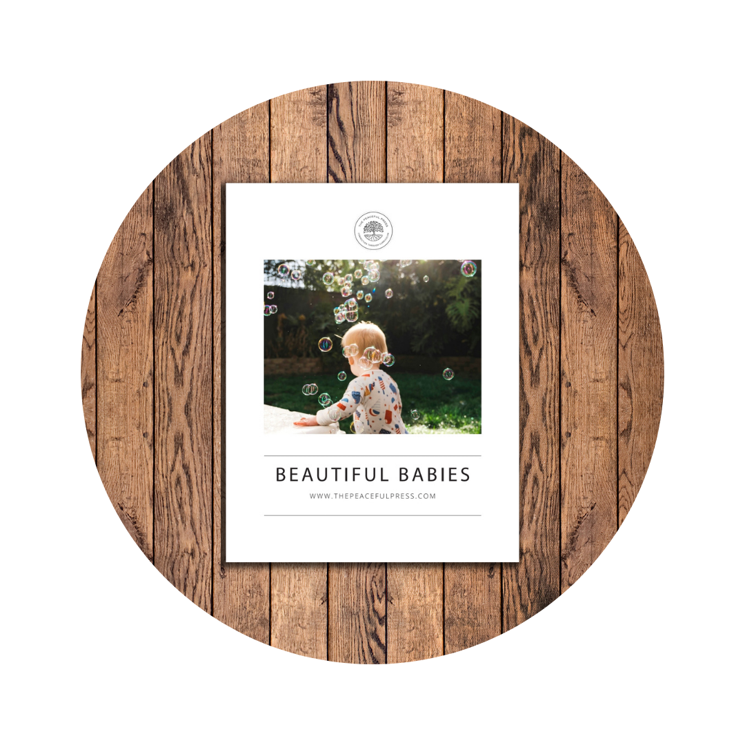 Beautiful Babies Gentle Connection Guide for Moms