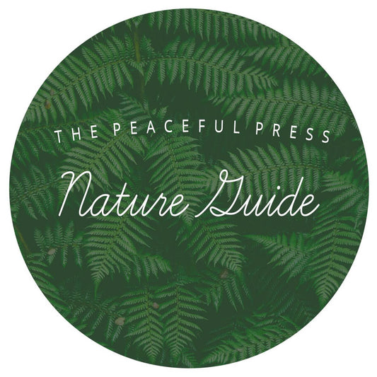 A circle filled with green ferns on a white field with the words: The Peaceful Press, Nature Guide over the circle.