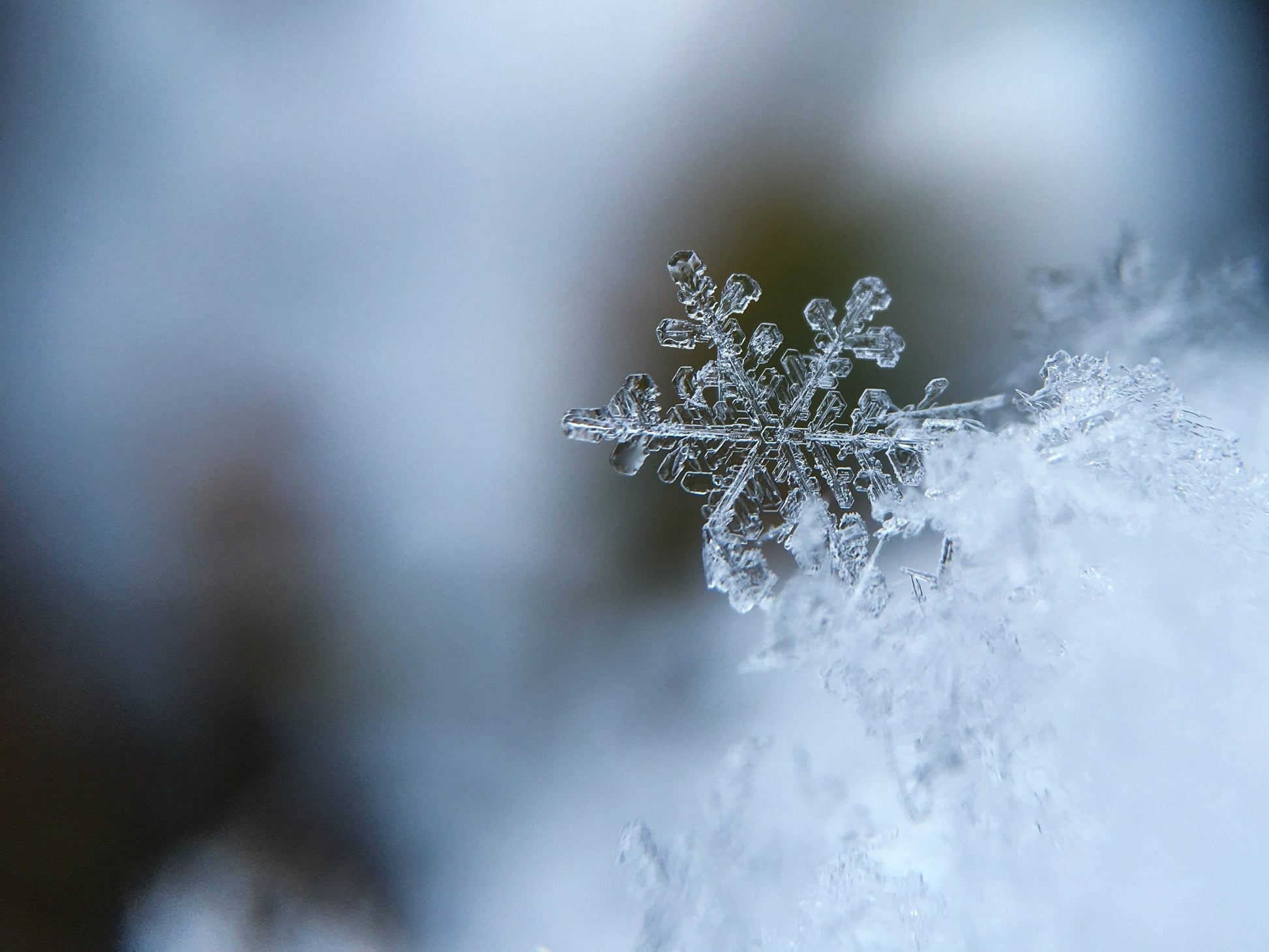 An upclose photo of a snow flake.