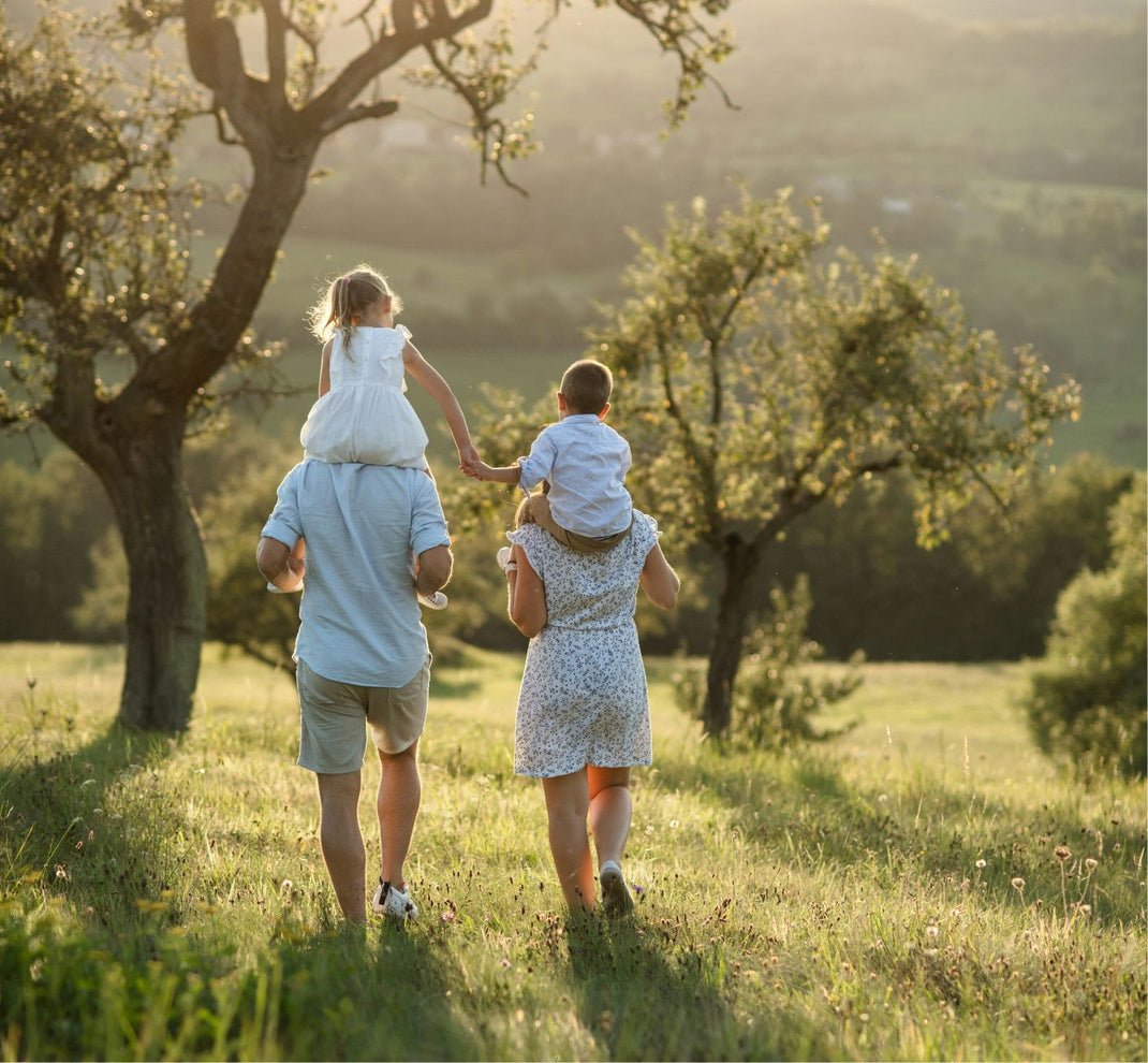 The Peaceful Press Homeschool Curriculum the-peaceful-press-homeschool-curriculum