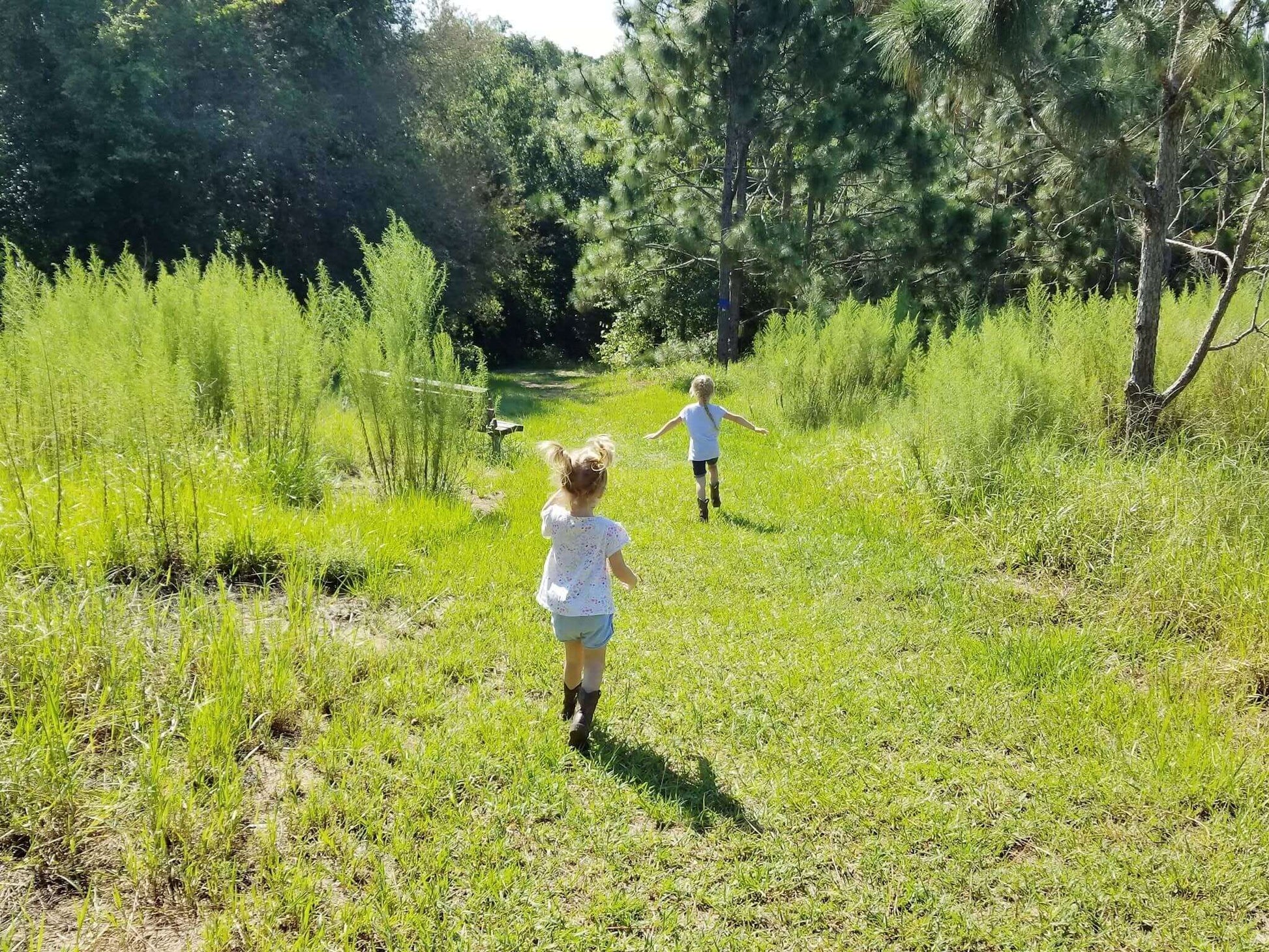 Two homeschool kids walking down a grassy path in the woods on a sunny day.